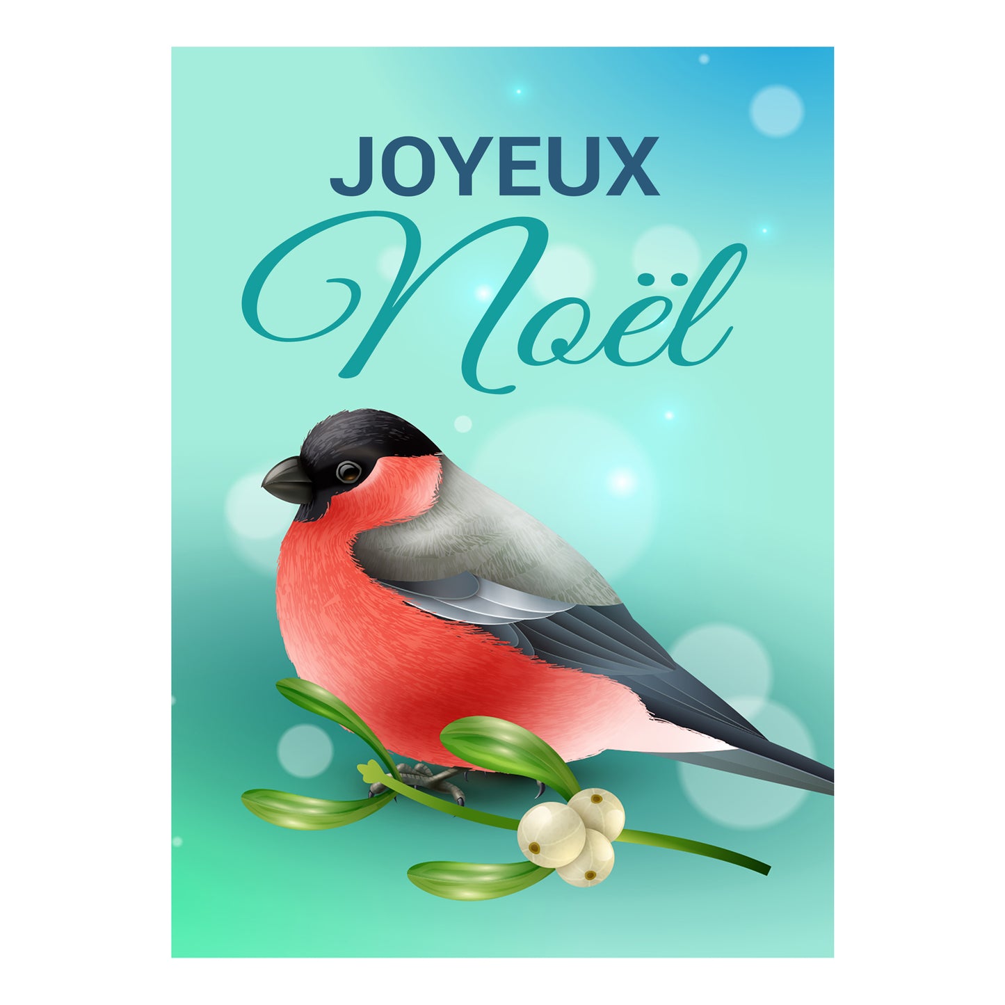 Carte de vœux noël oiseaux