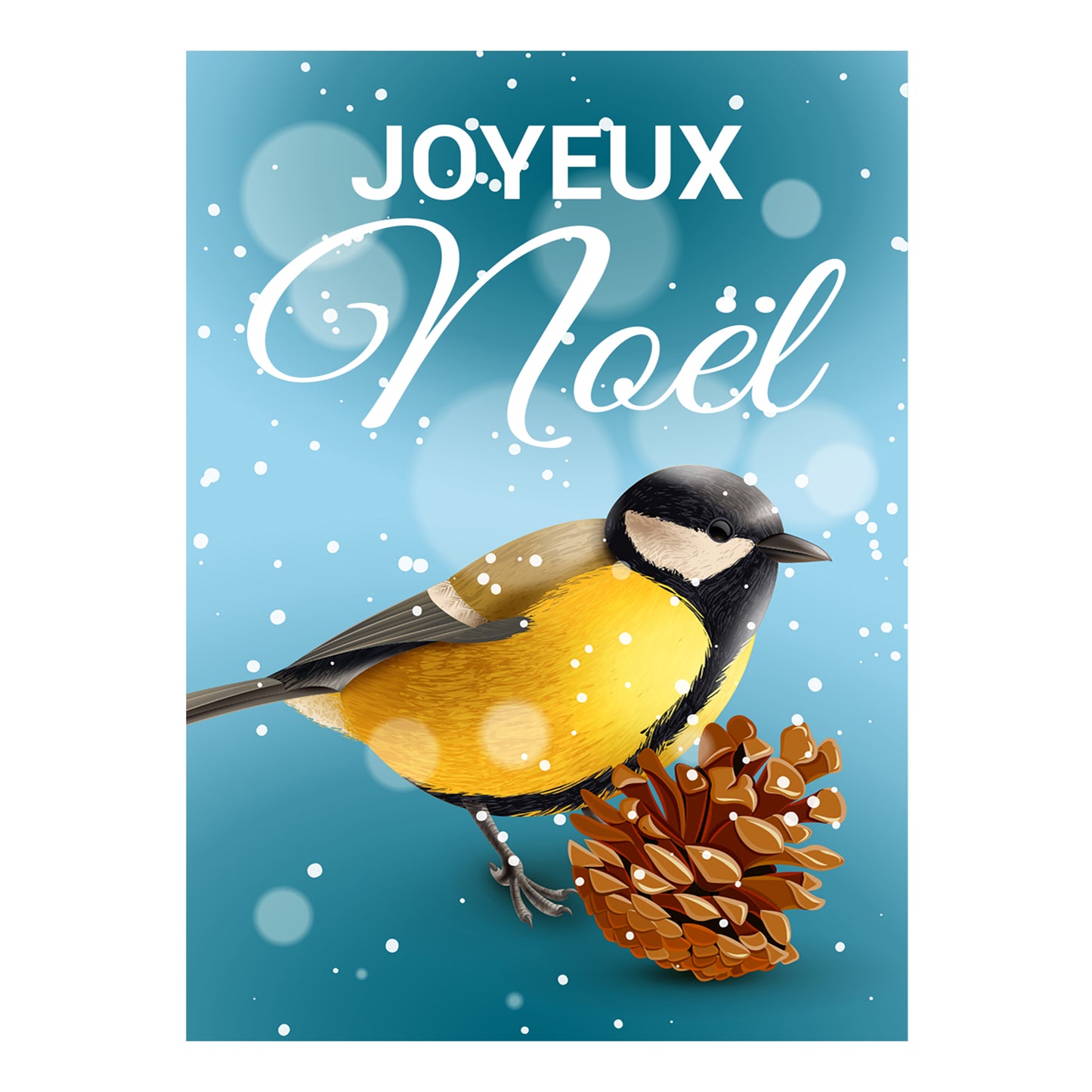 Carte de vœux noël oiseaux