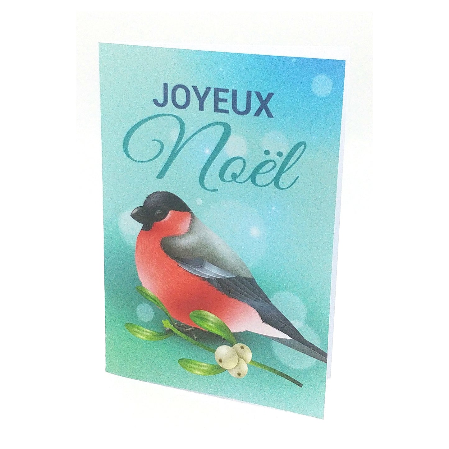 Carte de vœux noël motif oiseau 2