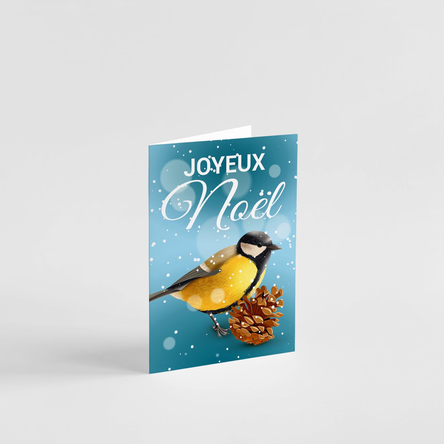 Carte de vœux noël oiseaux